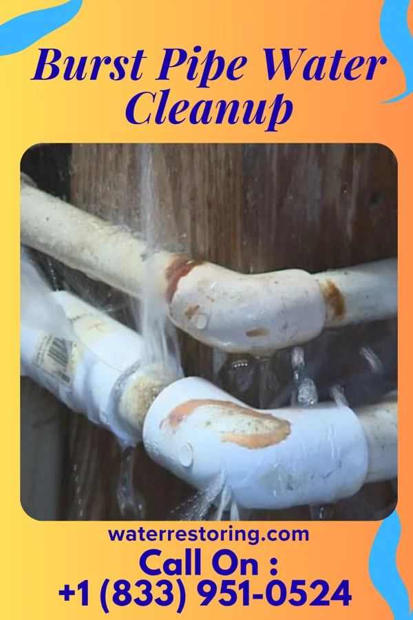 Burst Pipe Water Cleanup in Bowling Green, OH