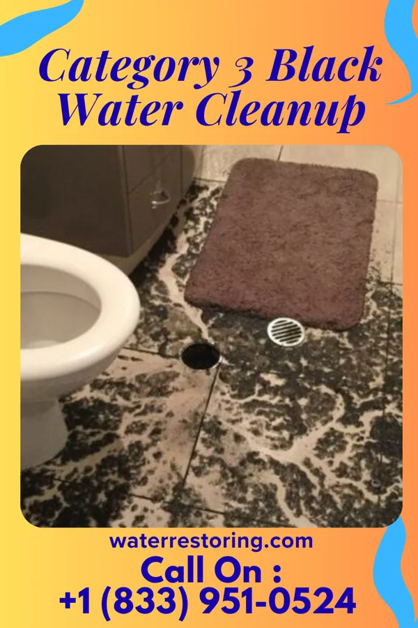 Category 3 Black Water Cleanup in Bowling Green, OH