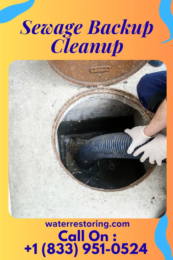 Sewage Backup Cleanup in Bowling Green, OH