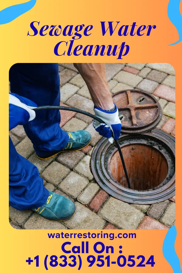 Sewage Water Cleanup in Bowling Green, OH
